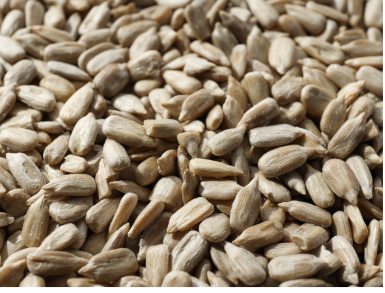 Gepelde zonnebloempitten 500g