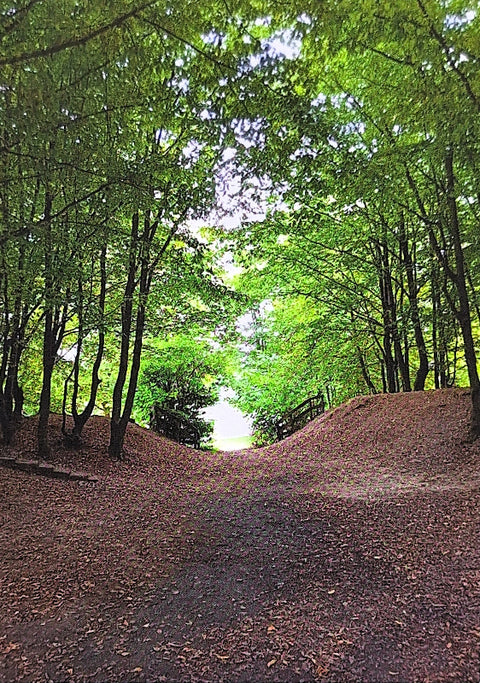 Wenskaart Holle weg