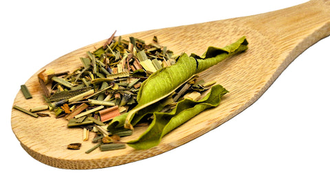 Focus in de Provence