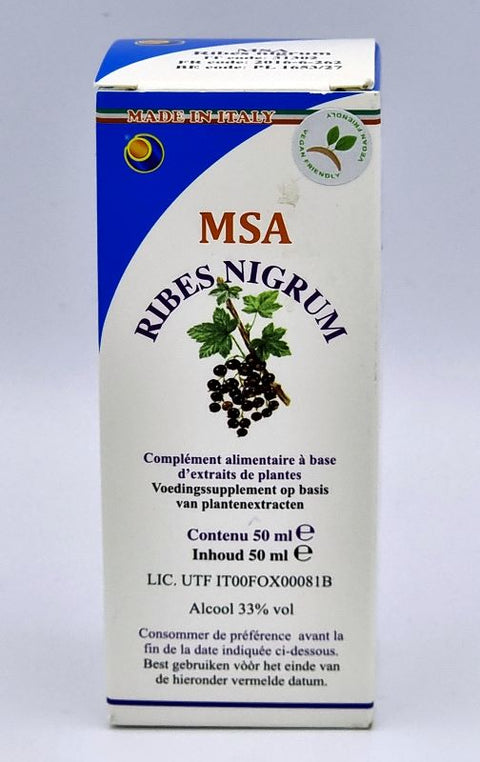 Ribes nigrum (MSA)