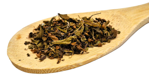 Heilige basilicum (tulsi)